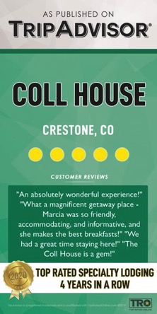 tripadvisor